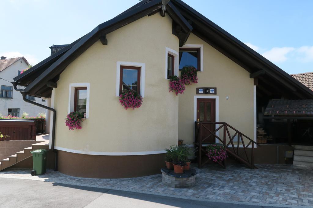 Gostilna Turk Hotel Hotedrsica Exterior photo